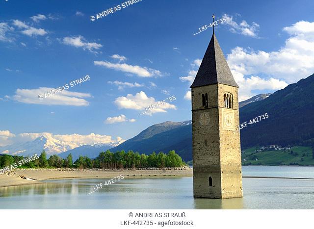 Bell tower in lake Reschensee, Ortler in the background, Reschen, lake Reschensee, Reschen Pass, Vinschgau, South Tyrol, Italy