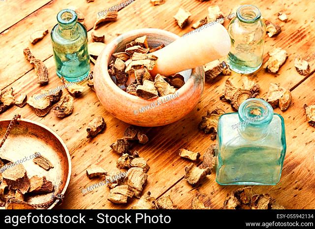 Medicinal root of elecampane in herbal medicine.Inula helenium.Alternative medicine.Chinese herbal medicine