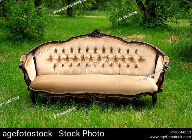 Light sofa in vintage style stands on green grass in garden with plants and trees In background. Nature concept. Furniture concept. High quality photo