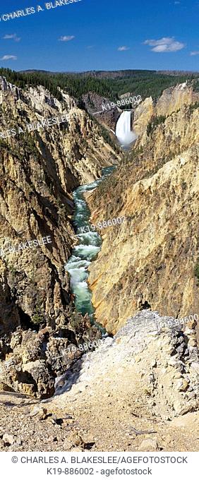 Lower Falls, Yellowstone River, Grand Canyon of the Yellowstone, Yellowstone National Park, Park County, Wyoming, U.S.A