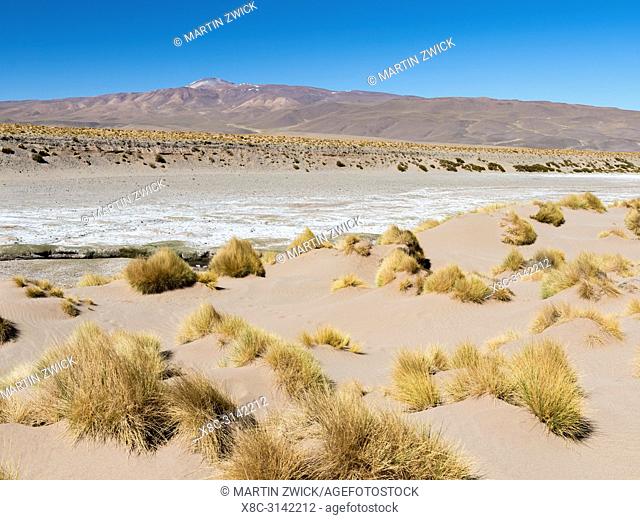 The Argentinian Altiplano along the Routa 51 between Antonio de los Cobres and Olcapato. South America, Argentina