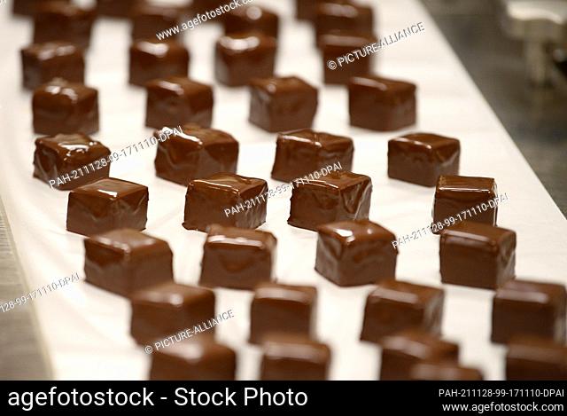 22 November 2021, Brandenburg, Oberkrämer/Ot Schwante: After being coated with chocolate coating, the finished dominoes lie on paper at the Plentz bakery and...