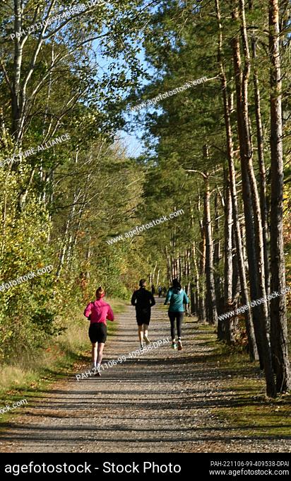06 November 2022, Saxony, Leipzig: Joggers are out in a forest in sunshine and temperatures around 14 degrees. Meteorologists predict similar weather with...
