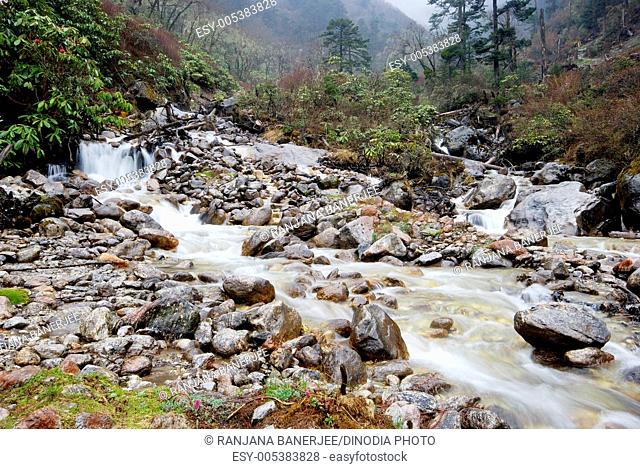 Stream ; Yumthang Valley ; Yumthang ; North Sikkim ; India