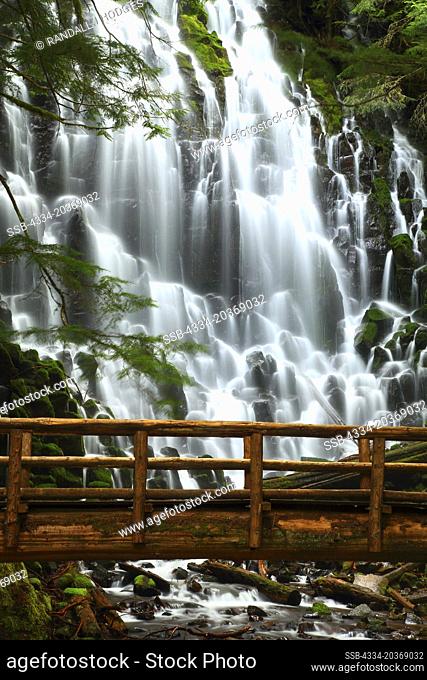 Ramano Falls and Hiking Bridge in The Mt Hood Wilderness In Mt Hood National Forest Of Oregon