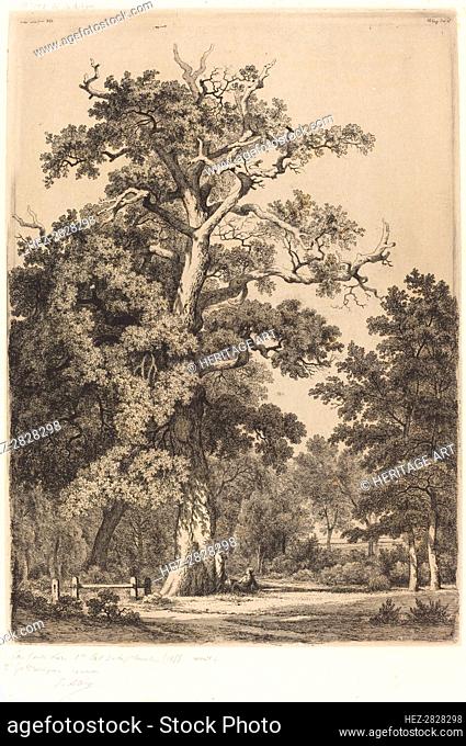 Ancient Oak in the Bois de Boulogne, 1855. Creator: Eugene Blery