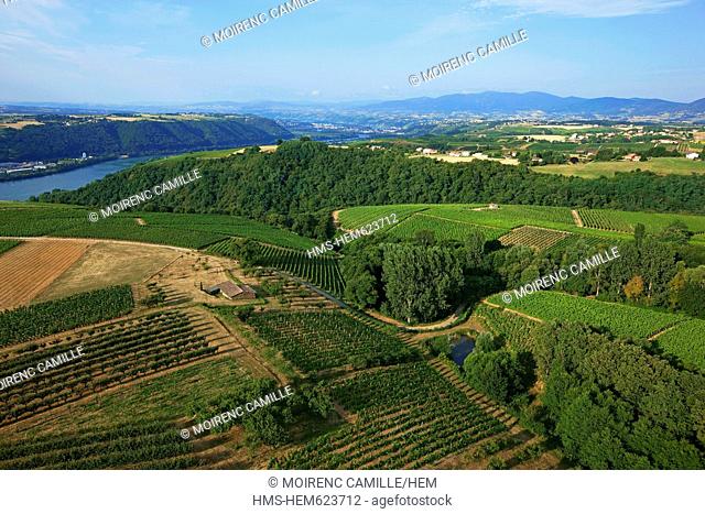 France, Rhone, Ampuis, Cote Rotie AOC vineyards and the Rhone aerial view