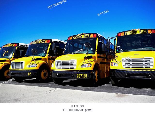 school buses in a row