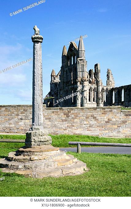 Weathered Monument at Whitby Abbey Whitby North Yorkshire England
