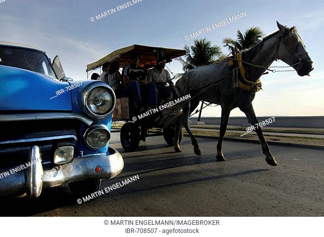 Blue American vintage car driving beside a horse-and-buggy, Cienfuegos, Cuba, Americas
