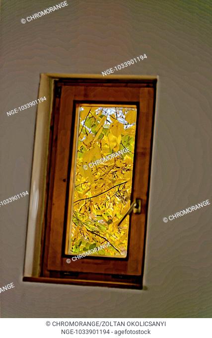 Slanted brick a window with views of tree foliage in autumn colors