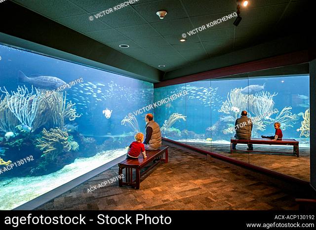 Father and son visiting aquarium in Hamilton, Bermuda