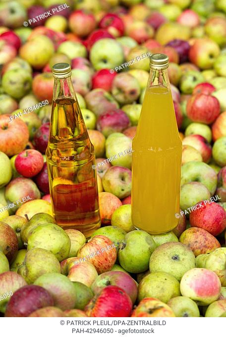 Illustration: Two bottles of apple juice stand in a container full of apples in the apple juice factory Skottki in Buckow, Germany, 25 September 2013