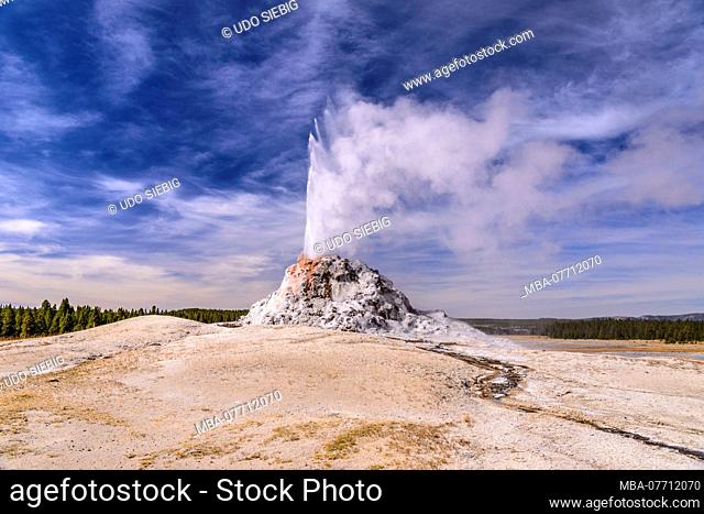 USA, Wyoming, Yellowstone National Park, Lower Geyser Basin, Firehole Lake Drive, White Dome Geyser