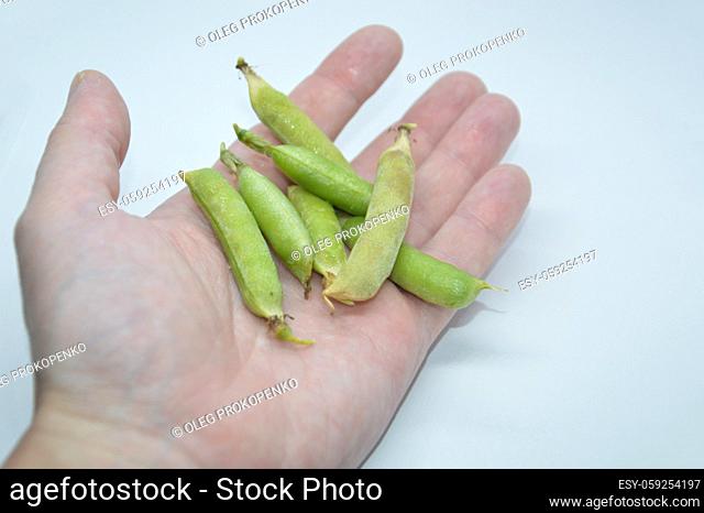 Young and ripe green peas on a the white background
