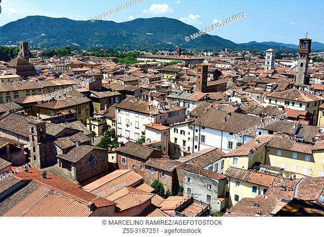 The medieval town of Lucca seen from the viewpoint on the top of Guinigi Tower. Lucca, Province of Lucca, Tuscany, Italy, Europe