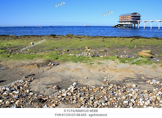 Exposed rocky outcrop on beach at low tide, with lifeboat boathouse, Bembridge Lifeboat Station, Bembridge, Isle of Wight, England, june