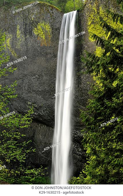 Latourelle Falls, Columbia Gorge Nat Scenic Area, Orgeon, USA