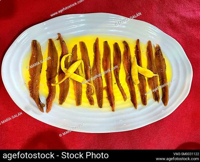 Anchovy fillets in olive oil. Spain