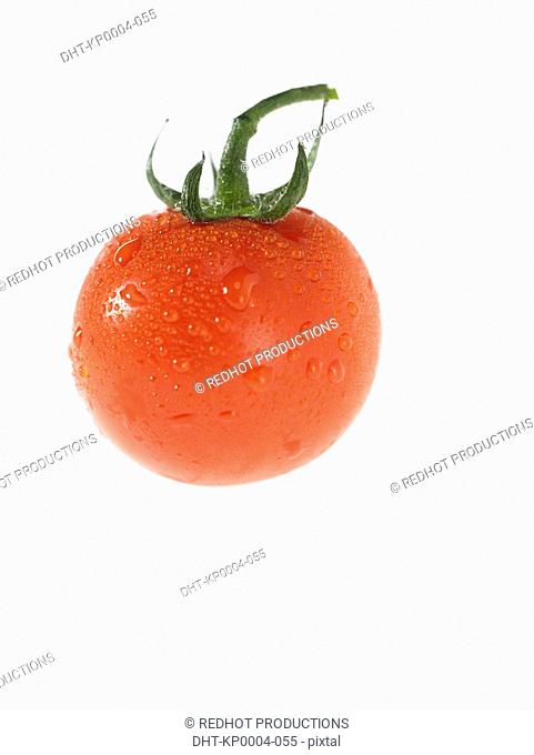 One tomato with dew