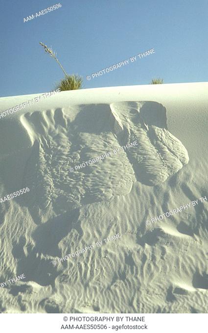 Avalanche on Slip Face of Gypsum Dune White Sands NM M