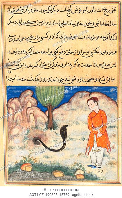 Page from Tales of a Parrot (Tuti-nama): Thirty-seventh night: The prince, a son of the ruler of Sistan, enters the service of a snake, c. 1560