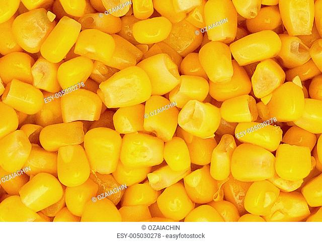 image of corn background