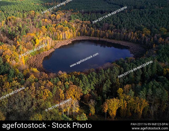 16 November 2023, Brandenburg, Petershagen: The sun shines over a forest with a small lake, which is partially surrounded by colorful autumnal deciduous trees...