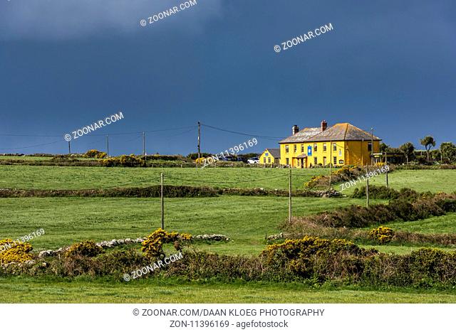 Cornwall, England - April 26, 2017: Cornish landscape at Gurnard's Head, Cornwall, England wit dark clouds and common gorse