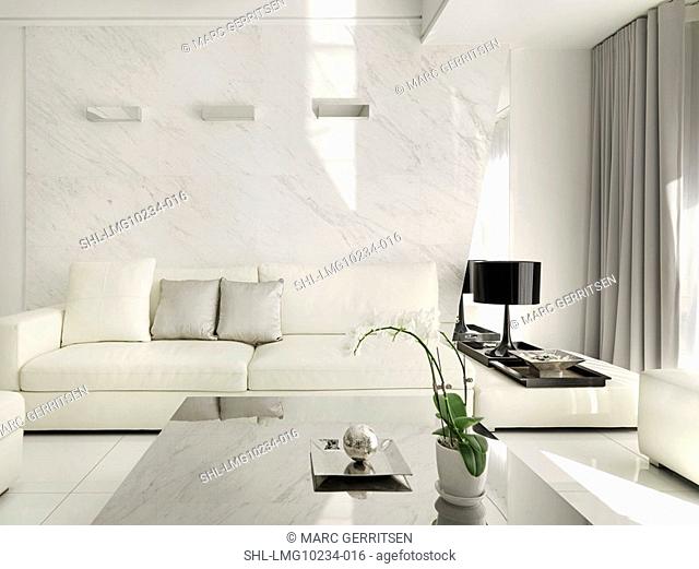Monochromatic modern living room