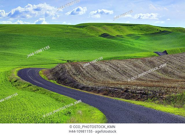 rolling hills in Palouse