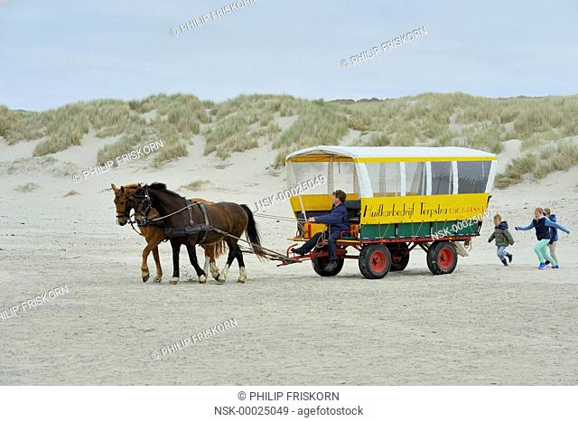 Horse powered hooded cart just starting on the beach of Terschelling, The Netherlands, Friesland, Terschelling