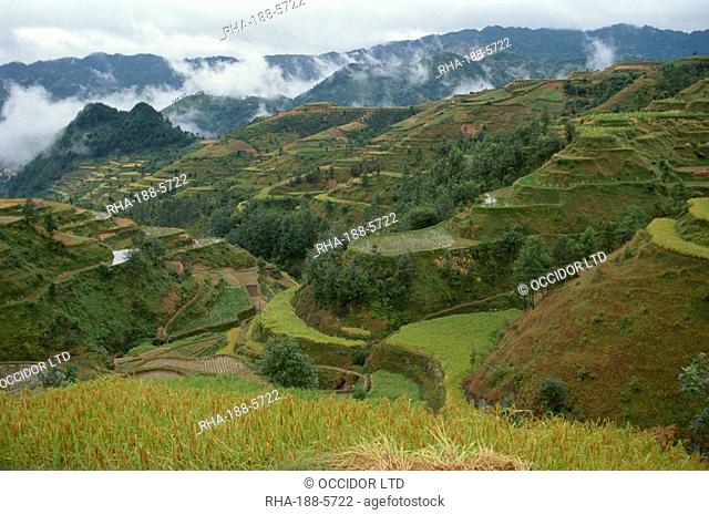 Terracing in southeast Guizhou, Guizhou, China, Asia