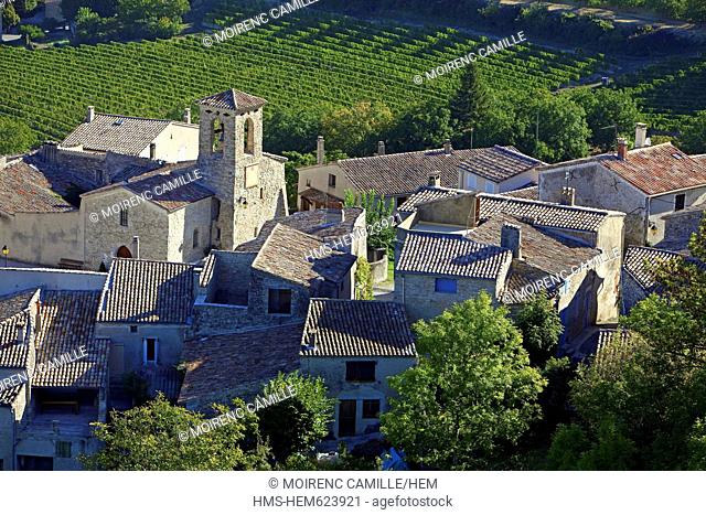 France, Drome, Pays de Saillans, Saint Sauveur Diois, vine aerial view