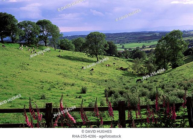 View from Windmill Hill, Waseley Country Park near Rubery, Chapmans Hill, Hereford & Worcester, England, United Kingdom, Europe