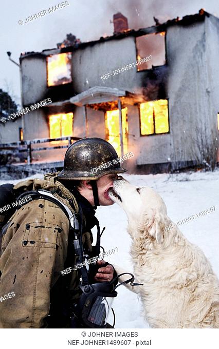 Fireman with rescued dog in front of burning house