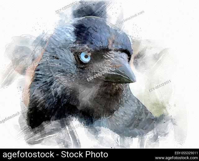 watercolor style portrait of a jackdaw with head and blue eyes on a light background