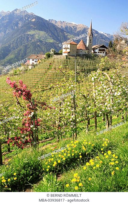 Italy, South-Tyrol, Saint Georgen, locality perspective, church, orchard, spring