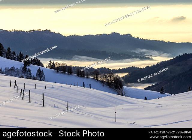 07 December 2023, Baden-Württemberg, Oberried: A thick blanket of snow covers a pasture on the Schauinsland. Due to an inversion