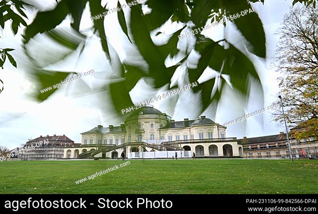 06 November 2023, Baden-Württemberg, Stuttgart: Leaves of an ash tree move, driven by an autumn wind, in front of Solitude Palace (wiping effect due to long...