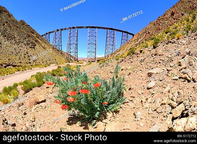 Viaduct, Viaducto la Polvortilla, San Antonio de los Cobres, Province of Salta, Argentina, South America