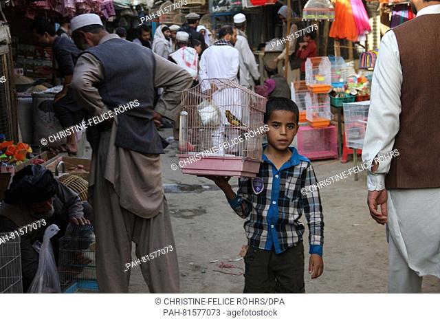 A boy carrying a bird cage stands in the bird market in the old town of Kabul, Afghanistan, 09 June 2016. Around 150 small shops, some just openings in the wall