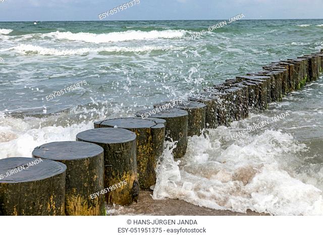 Waves washed around logs on the Baltic coast in the sand as a breakwater