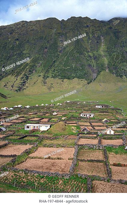 Stone walls divide potato patches, two miles south of settlement, on Tristan da Cunha, Mid Atlantic