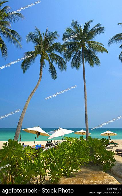 Palm Beach, Southern Thailand, Chaweng Beach, Ko Samui Island, Thailand, Asia