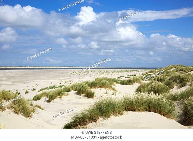 view over dunes and beach in the east of the island of Baltrum to the neighbouring Island of Langeoog
