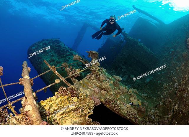Freediver dives on the wreckship Gianis D. Red Sea, Sharm El Sheikh, Egyp