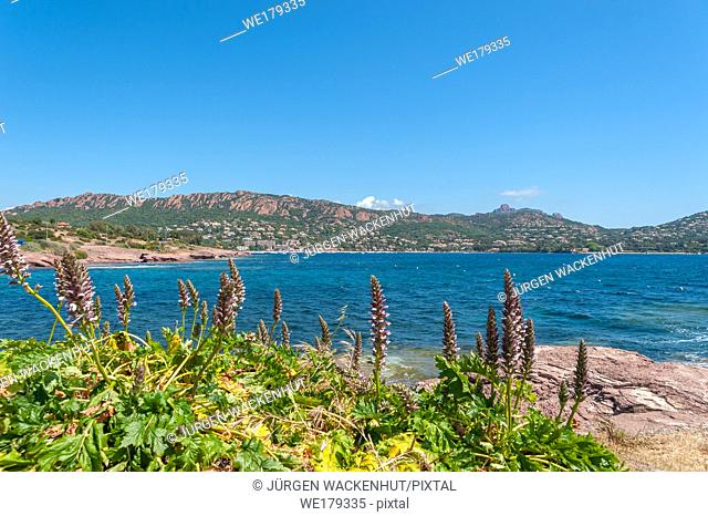 Coastal landscape, Antheor, Var, Provence-Alpes-Cote d`Azur, France, Europe