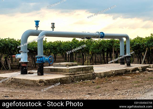 Watering pipes and vineyard. Big irrigation systems