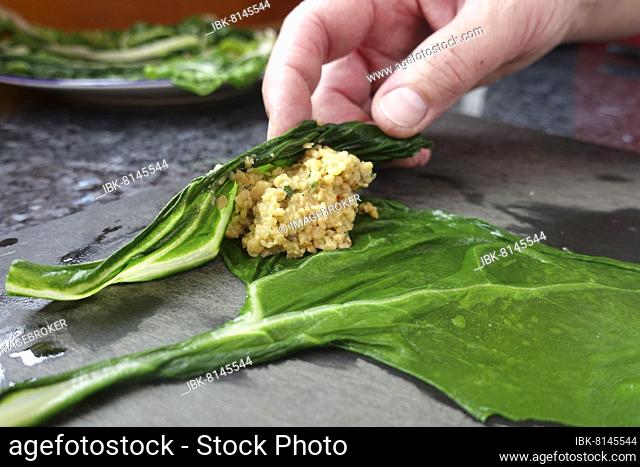 Swabian cuisine vegetarian, preparation chard runner, filling, soy roll in chard leaf, man's hand, Germany, Europe